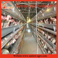 H type 5 tier chicken cage poultry cages