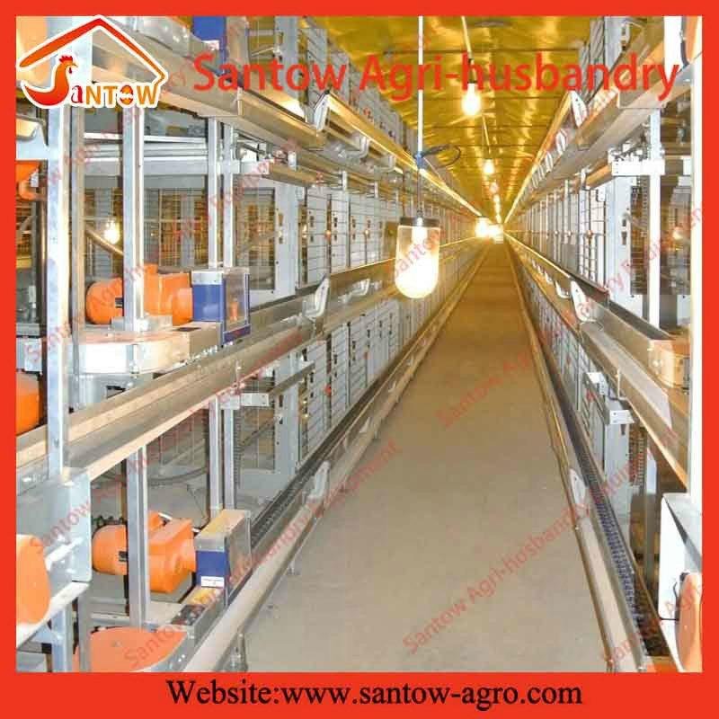 H type 5 tier chicken cage poultry cages battery cage for laying hens used 2