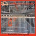 H type 5 tier chicken cage poultry cages battery cage for laying hens used 3
