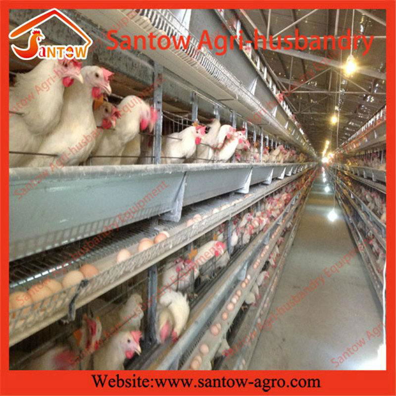 H type 5 tier chicken cage poultry cages chicken layer cage for kenya poultry fa