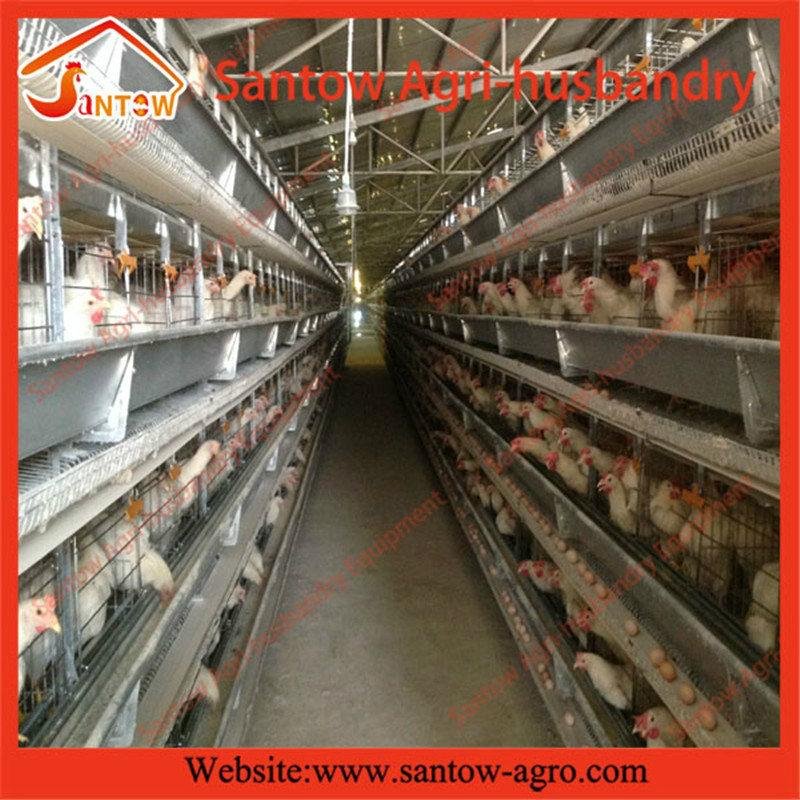 H type 5 tier chicken cage poultry cages chicken layer cage for kenya poultry fa 2