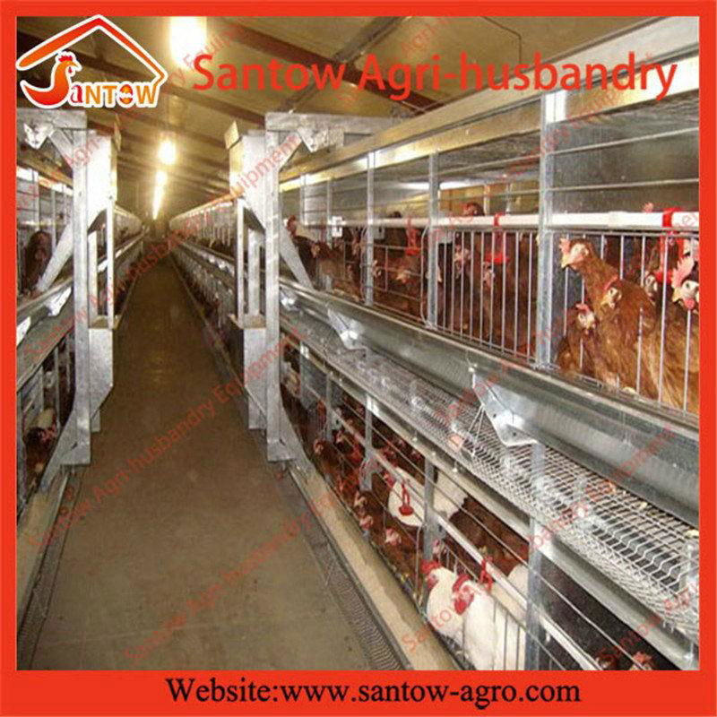 H type 5 tier chicken cage poultry cages chicken layer cage for kenya poultry fa 3