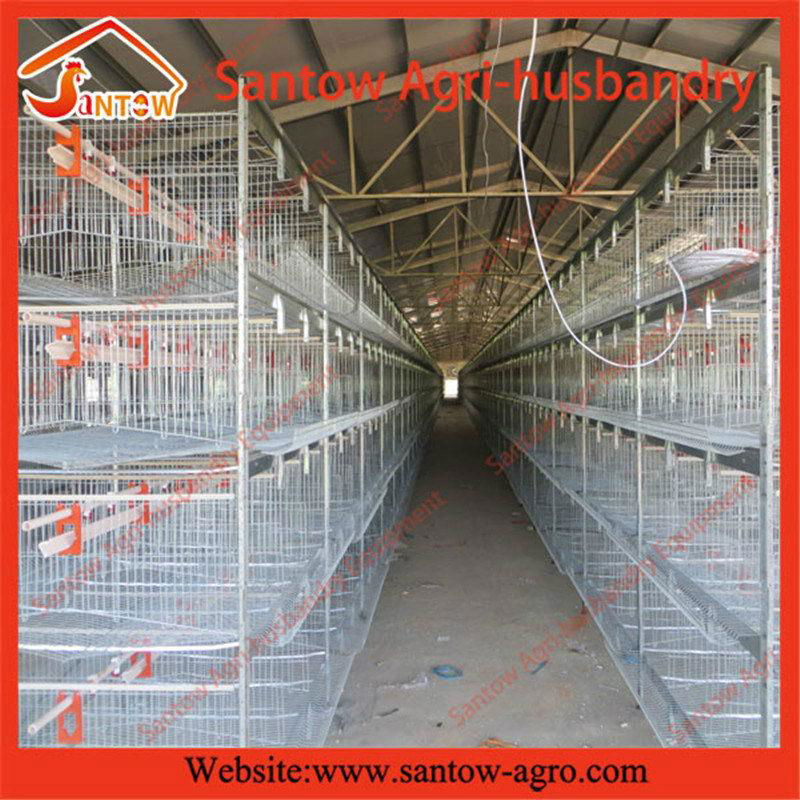 H type 5 tier chicken cage poultry cages chicken layer cage for kenya poultry fa 4