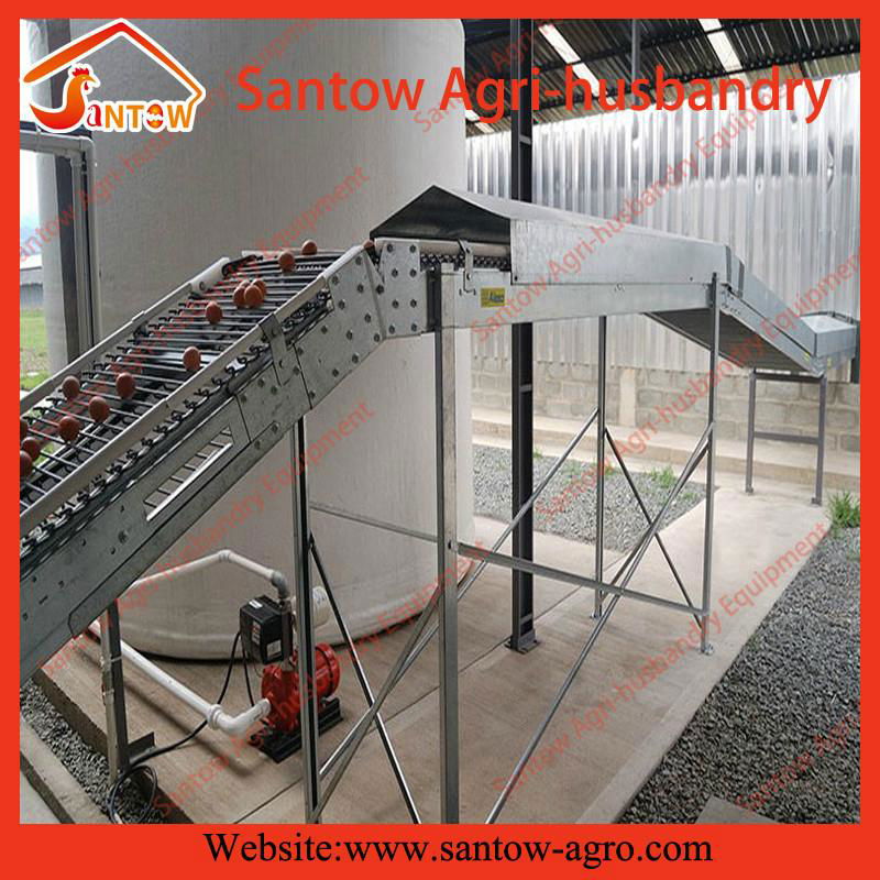 H type 5 tier chicken cage poultry cages chicken layer cage for kenya poultry fa 5