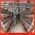 A frame 3 tiers chicken cages poultry