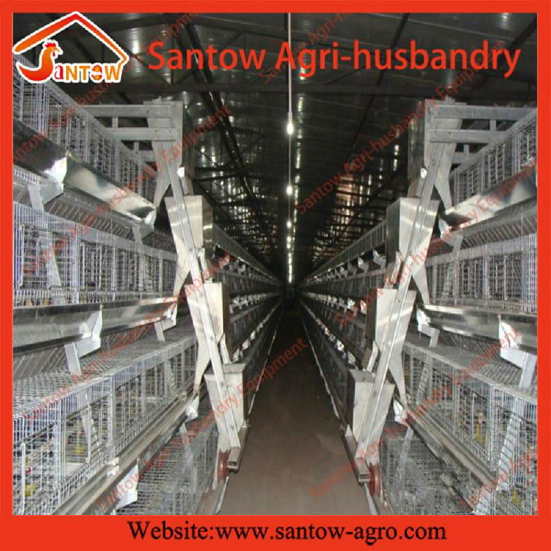 A frame 3 tiers chicken cages poultry cage laying hen cages for farm 2