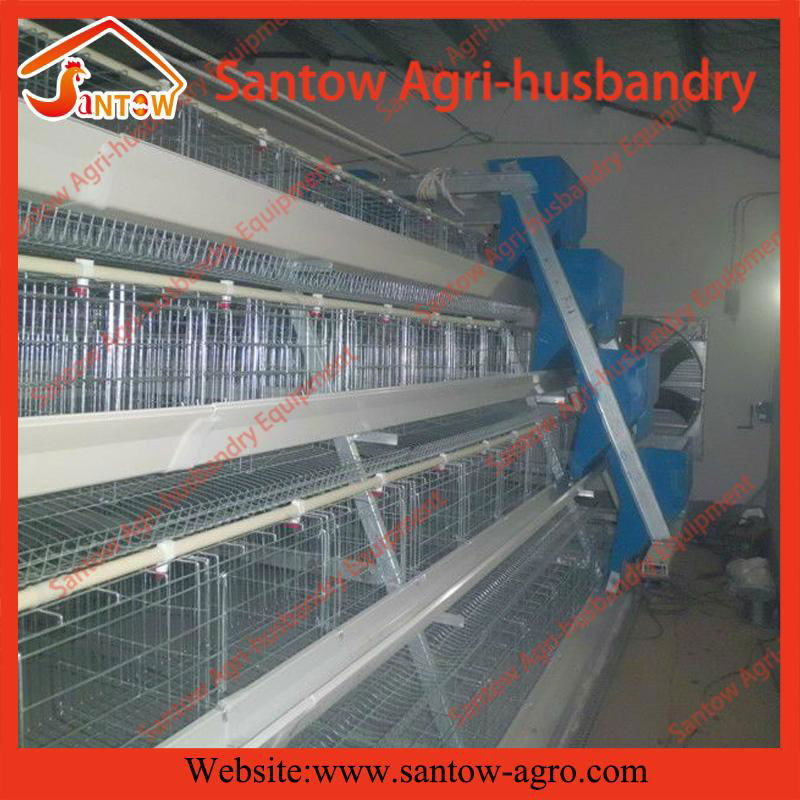A type 4 tier chicken cage battrey layer cages for poultry farm 3