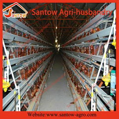 A type 4 tier chicken cage battrey layer cages for poultry farm