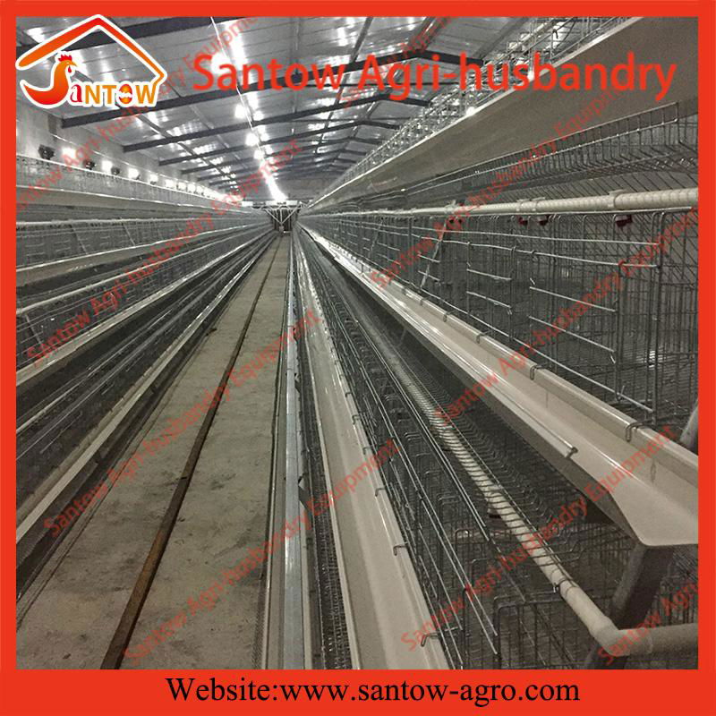 A type 4 tier chicken cage battrey layer cages for poultry farm 4