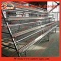 A type 4 tier chicken cage battrey layer cages for poultry farm