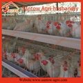 A type 4 tier chicken cage battrey layer cages for poultry farm