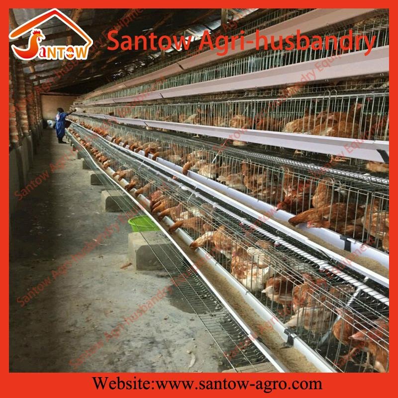 A type 4 tier chicken cage battrey layer cages for poultry farm 5