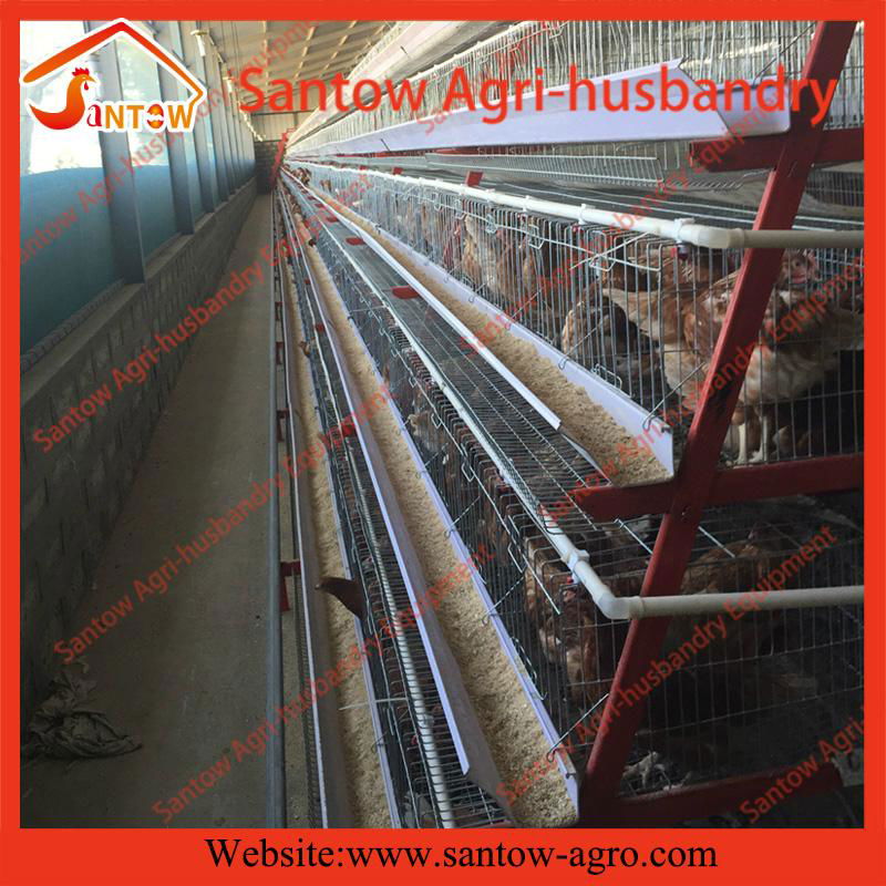 Auto chicken battery cages poultry battery laying cages for poultry farms 3