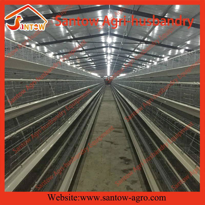 Auto chicken battery cages poultry battery laying cages for poultry farms 4