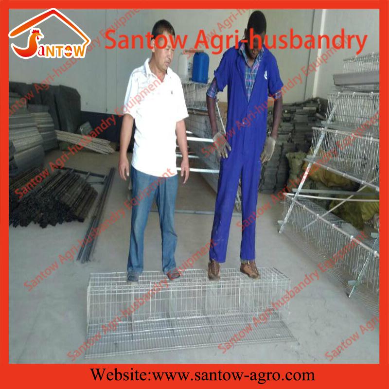 Auto chicken battery cages poultry battery laying cages for poultry farms 5