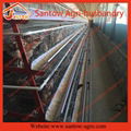 Automatic chicken cages hot galvanized battery cage cheap price layer poultry cages for nigeria / africa 