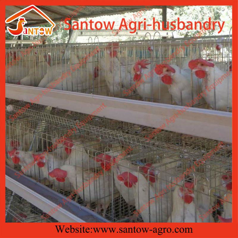 4 tier 120 birds hot galvanized chicken layer cage A type poultry cage low carbo