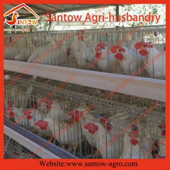 4 tier 120 birds hot galvanized chicken layer cage A type poultry cage low carbo