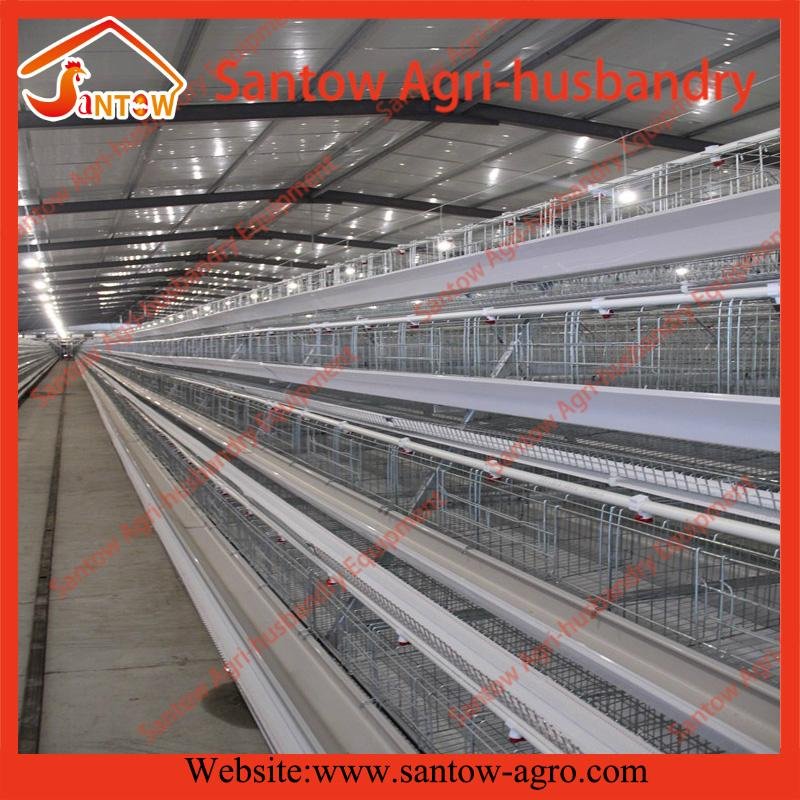 4 tier 120 birds hot galvanized chicken layer cage A type poultry cage low carbo 5