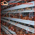 Hot Galvanized Chicken Poultry Cage Chicken Layer Cage  1