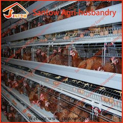 Hot Galvanized Chicken Poultry Cage Chicken Layer Cage 