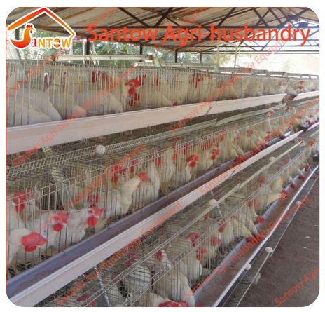 Chicken use welded wire chicken layer cages chicken coop hen house