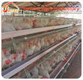 Chicken use welded wire chicken layer cages chicken coop hen house