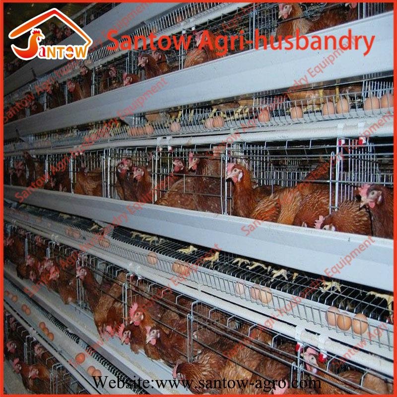 Chicken use welded wire chicken layer cages chicken coop hen house 2