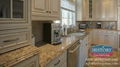 HGJ041-Santa-Cecilia-Granite-Countertops  1