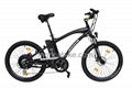 Fast Mountain Electric Bike with 48V