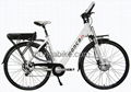 Europe Standard Electric bicycle 1