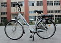 Europe Standard Electric bicycle 2