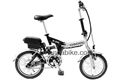  Folding E Bike with 250W Motor