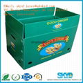 fruit and vegetables moving packaging box 1