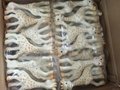 2016 china wholesale vulli sophie giraffe teether  3