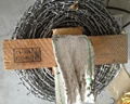 Hot dipping galvanized wire 2