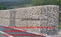 Reinforced   gabion mesh 2