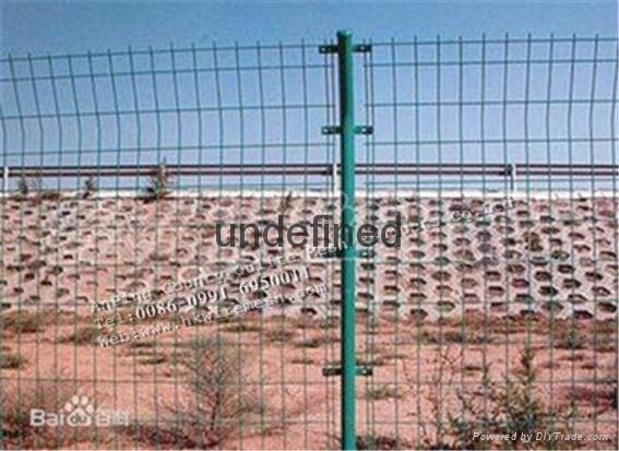 Double wire fence  4