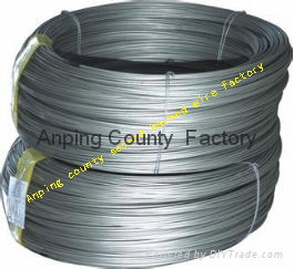 supply low price stainless wire 3