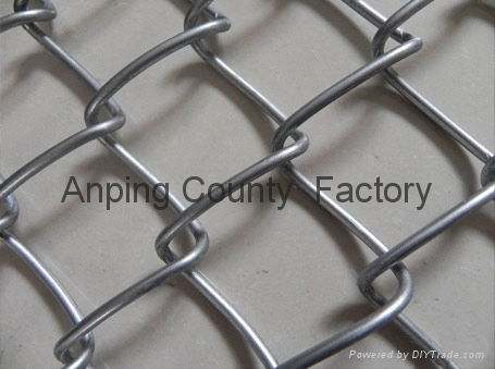 3)stainless steel chain link Fence