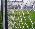 3)stainless steel chain link Fence 2