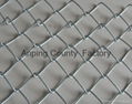 3)stainless steel chain link Fence 5