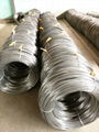 S50C galvanized steel wire 3