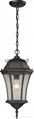 2016 Top Quality Antique Outdoor Industrial Pendant Lights 1