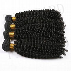 6A 7A 8A Wholesale Brazilian Virgin Kinky Curly Hair extension