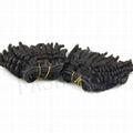 Factory Price Supply Mongolian Aunty Funmi Hair Bouncy Curls hair extension