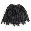 Factory Price Supply Mongolian Aunty Funmi Hair Bouncy Curls hair extension 2