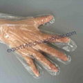  Safety Protective Disposable PE Gloves and Eco-Friendly