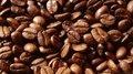 Arabica And Robusta Coffee For Sell