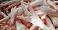 Frozen Chicken Feet & Chicken Paws 2